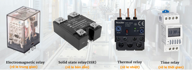 ROLE EDIC tổng hợp